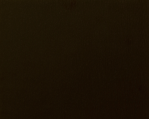 Retušovací a opravný fix Palisandr - 9631